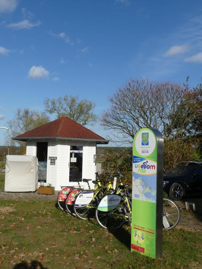 Landhaus Am Haff Stolpe auf Usedom Eksteriør bilde