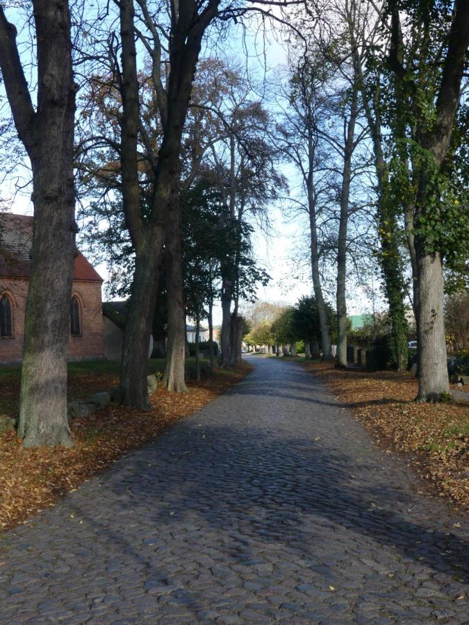 Landhaus Am Haff Stolpe auf Usedom Eksteriør bilde