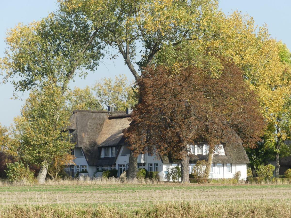 Landhaus Am Haff Stolpe auf Usedom Eksteriør bilde